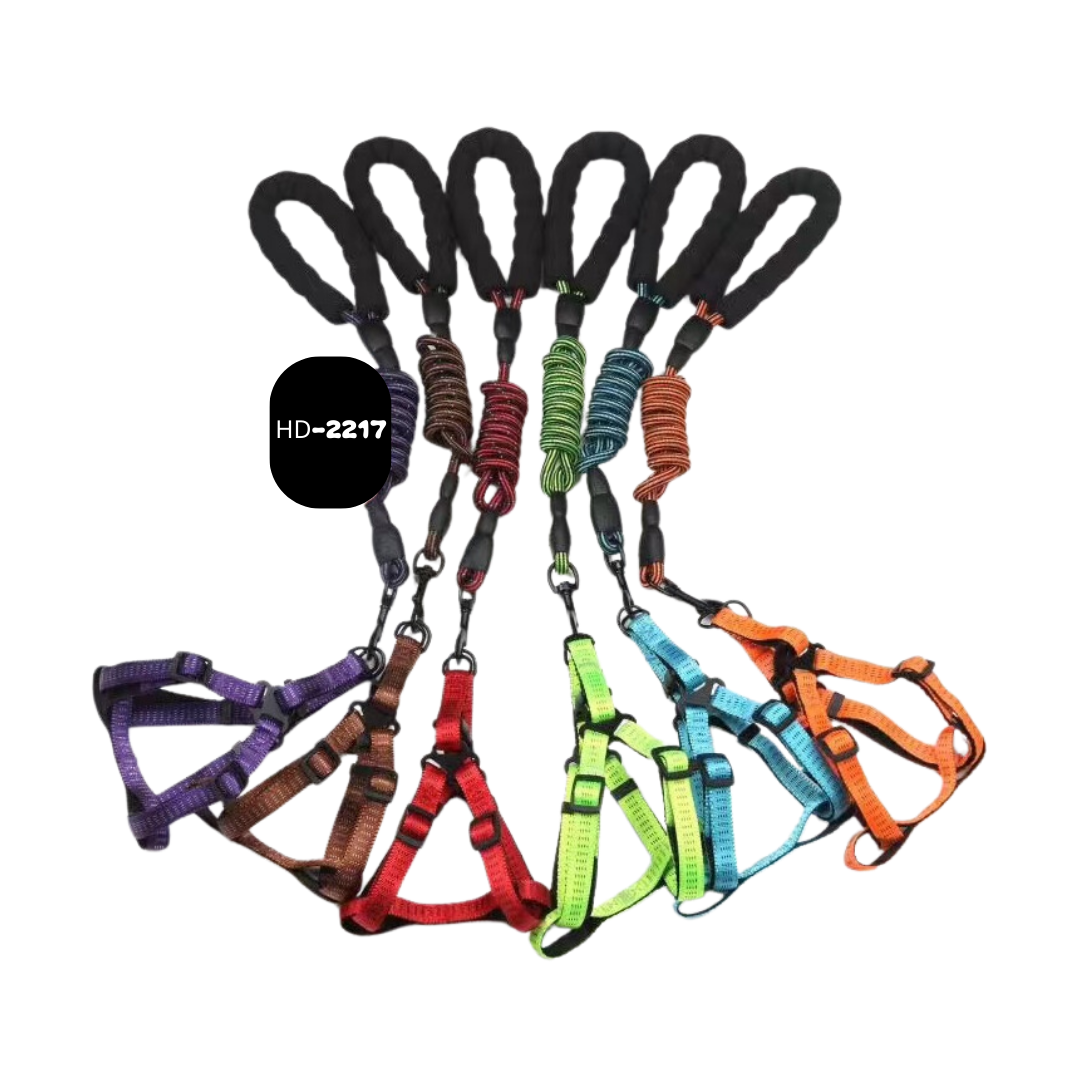 HD 2217 - רצועת הולכה + רתמה לכלב