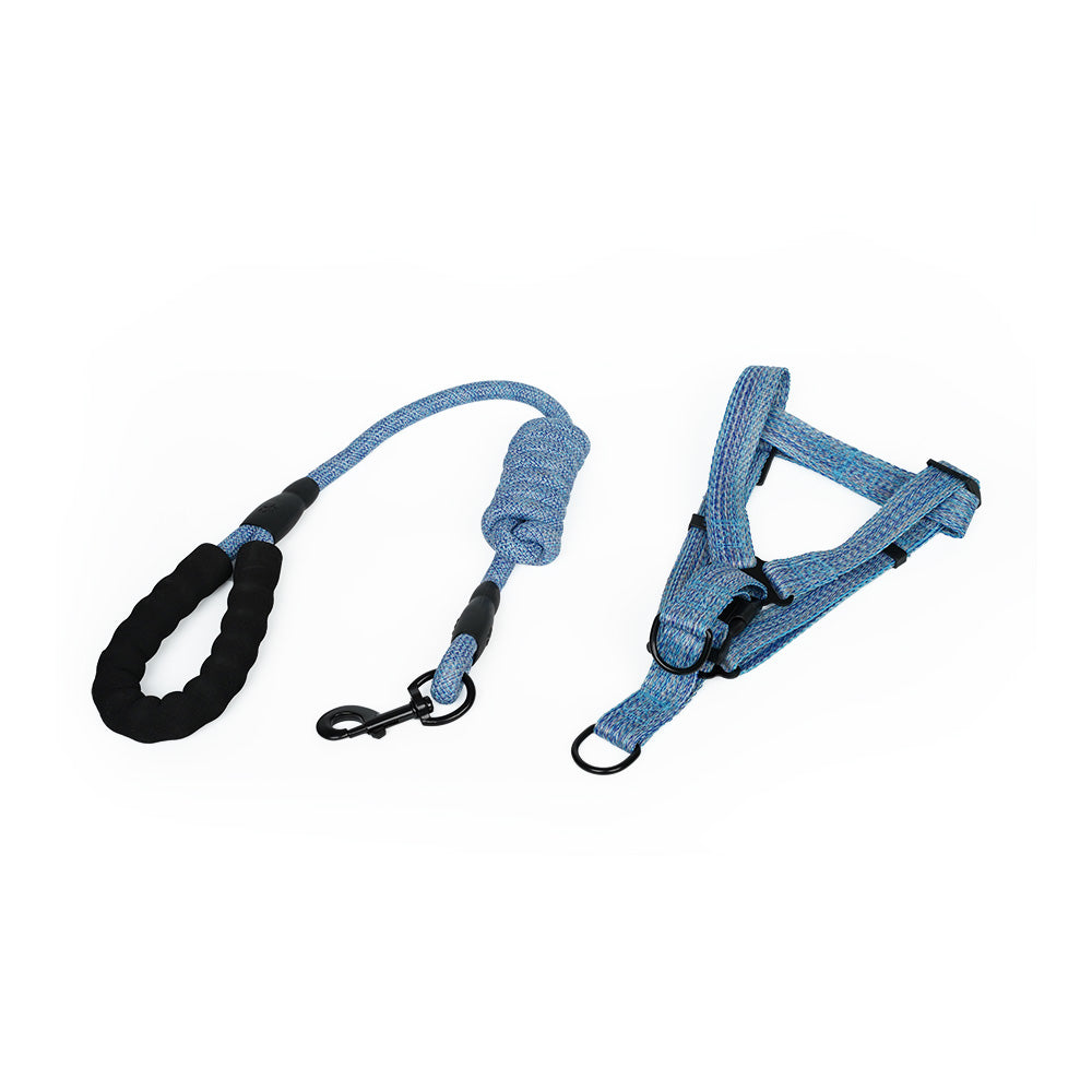 HD 2216 - רצועת הולכה + רתמה לכלב קטן